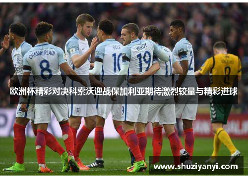 欧洲杯精彩对决科索沃迎战保加利亚期待激烈较量与精彩进球