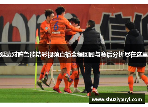 延边对阵鲁能精彩视频直播全程回顾与赛后分析尽在这里