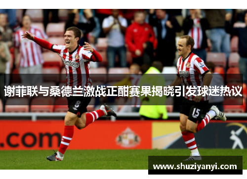 谢菲联与桑德兰激战正酣赛果揭晓引发球迷热议