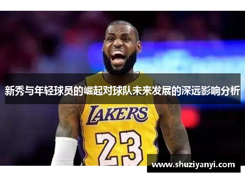 新秀与年轻球员的崛起对球队未来发展的深远影响分析